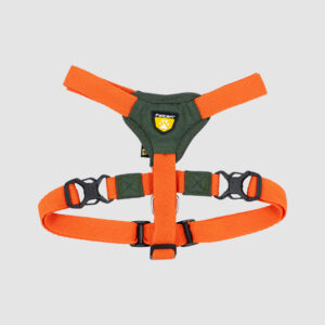 arnes-h-verde-naranja-felcan-1