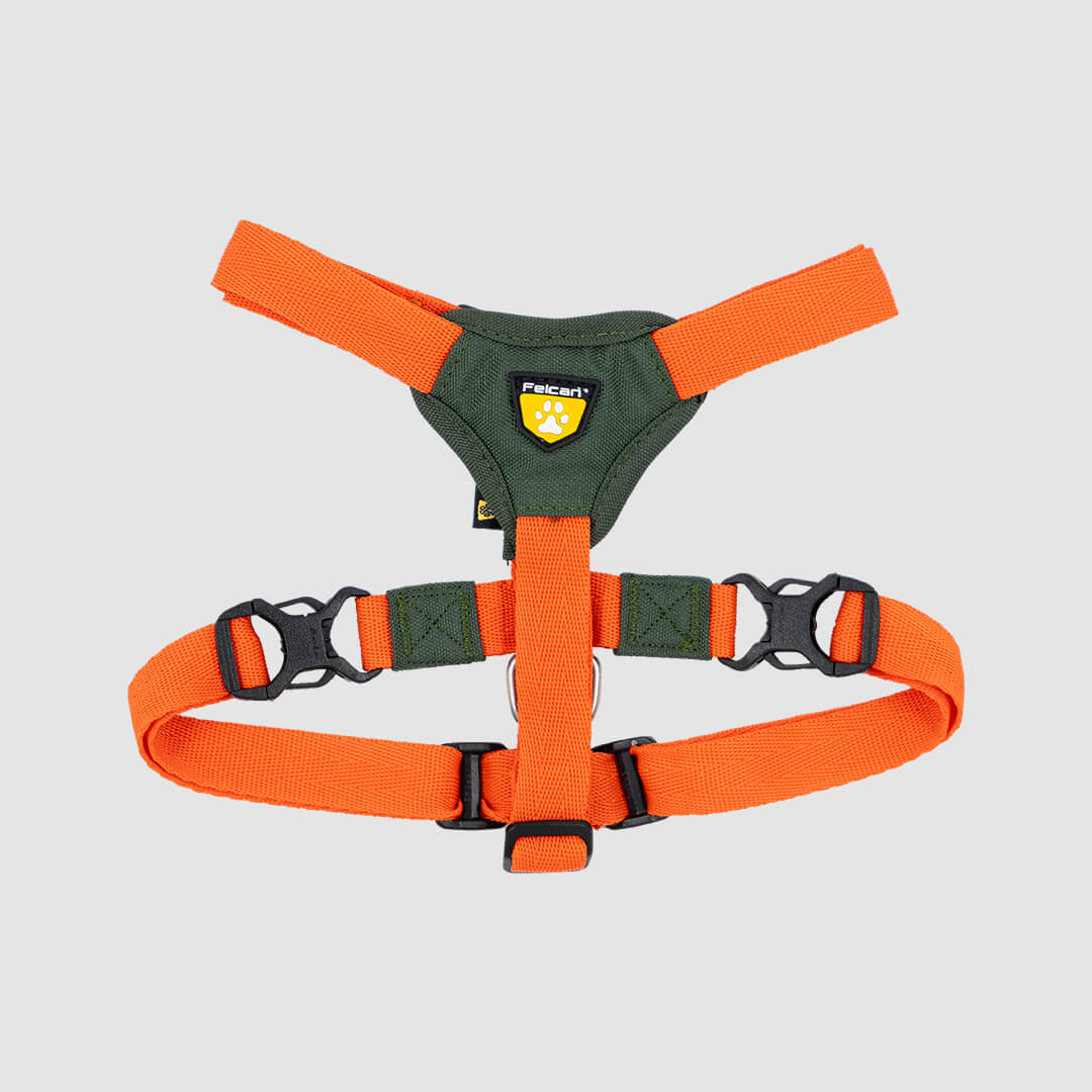 arnes-h-verde-naranja-felcan-1