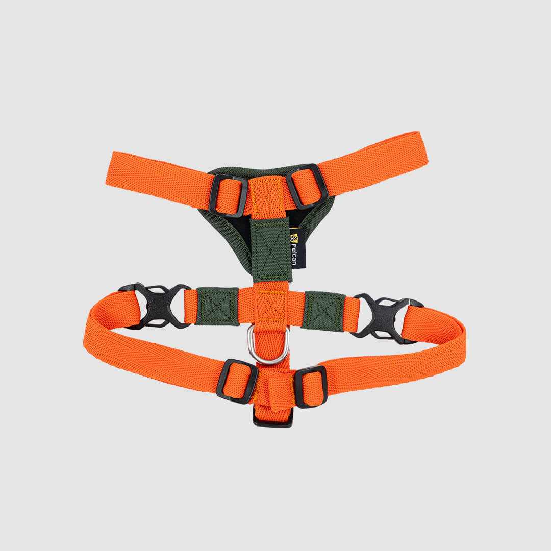 arnes-h-verde-naranja-felcan-2