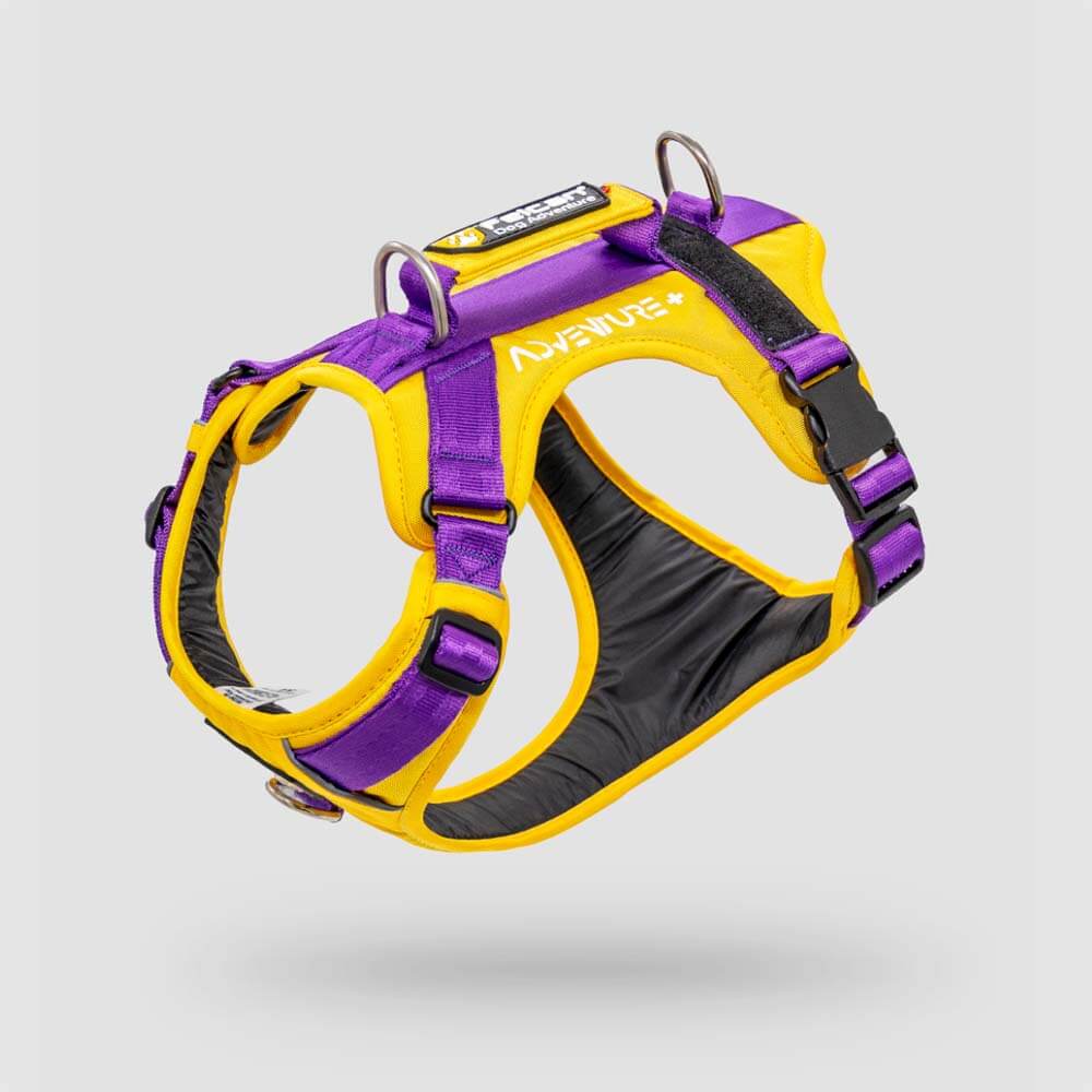 harnesses dog harnesses and vests for dogs arneses pecheras-y-chalecos-para-perros