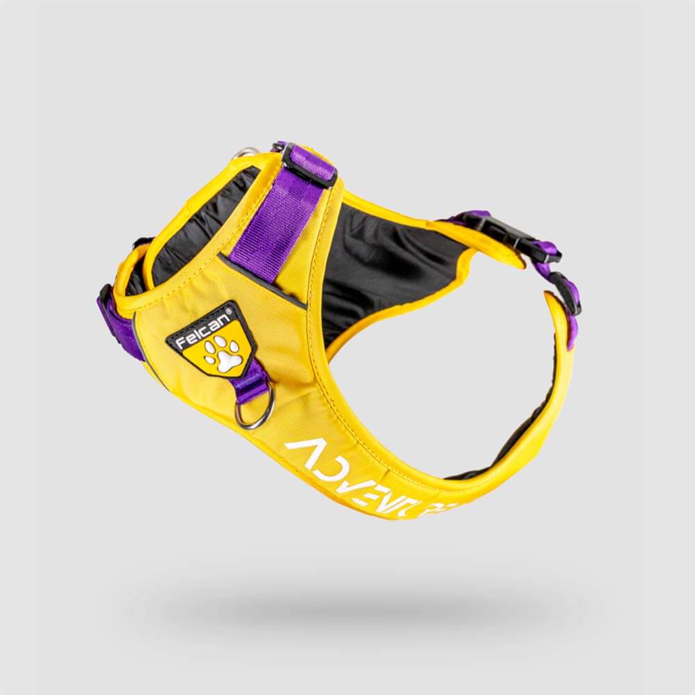 harnesses and-doggy-dog-boards arneses y-pecheras-para-perros