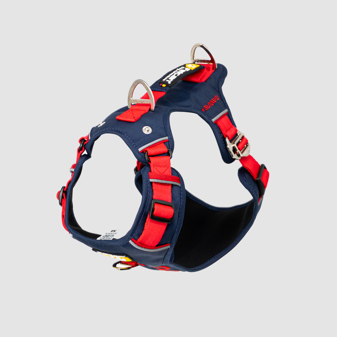 arnés-super-aventurero-azul+rojo