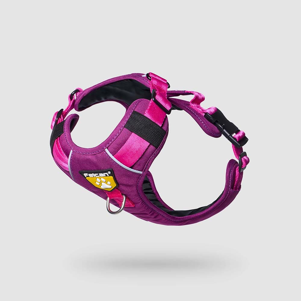 pecheras-para-perros