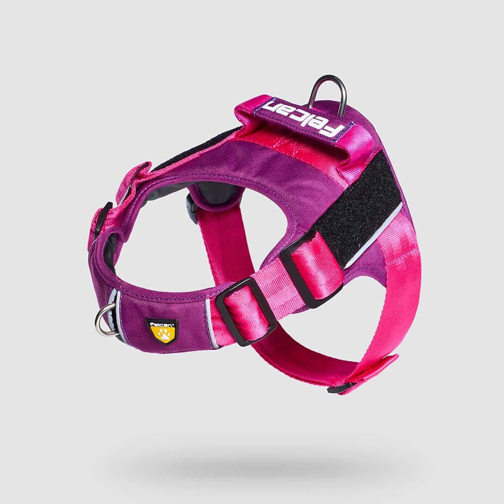 pecheras-para-perros