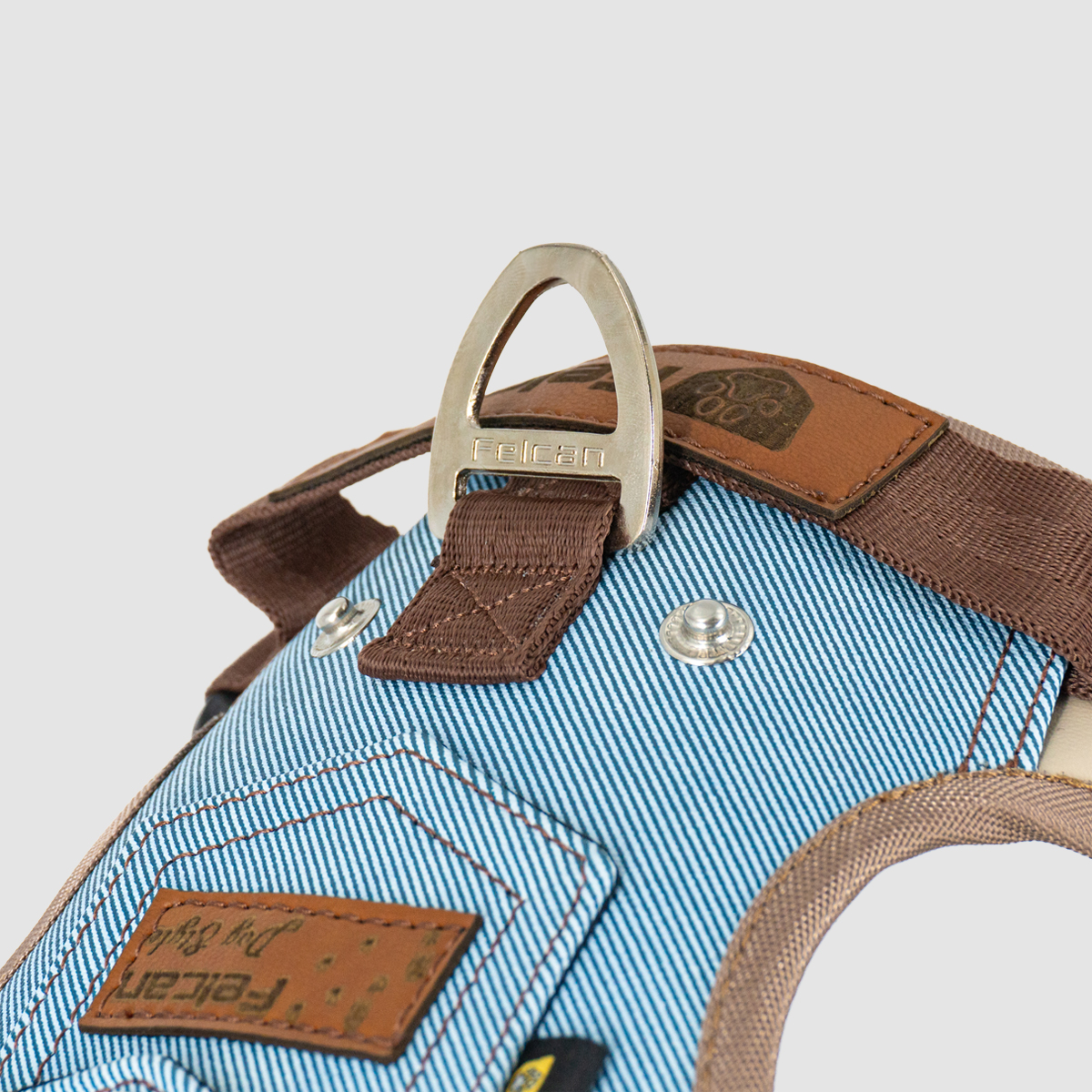 arnes-dog-style-beige