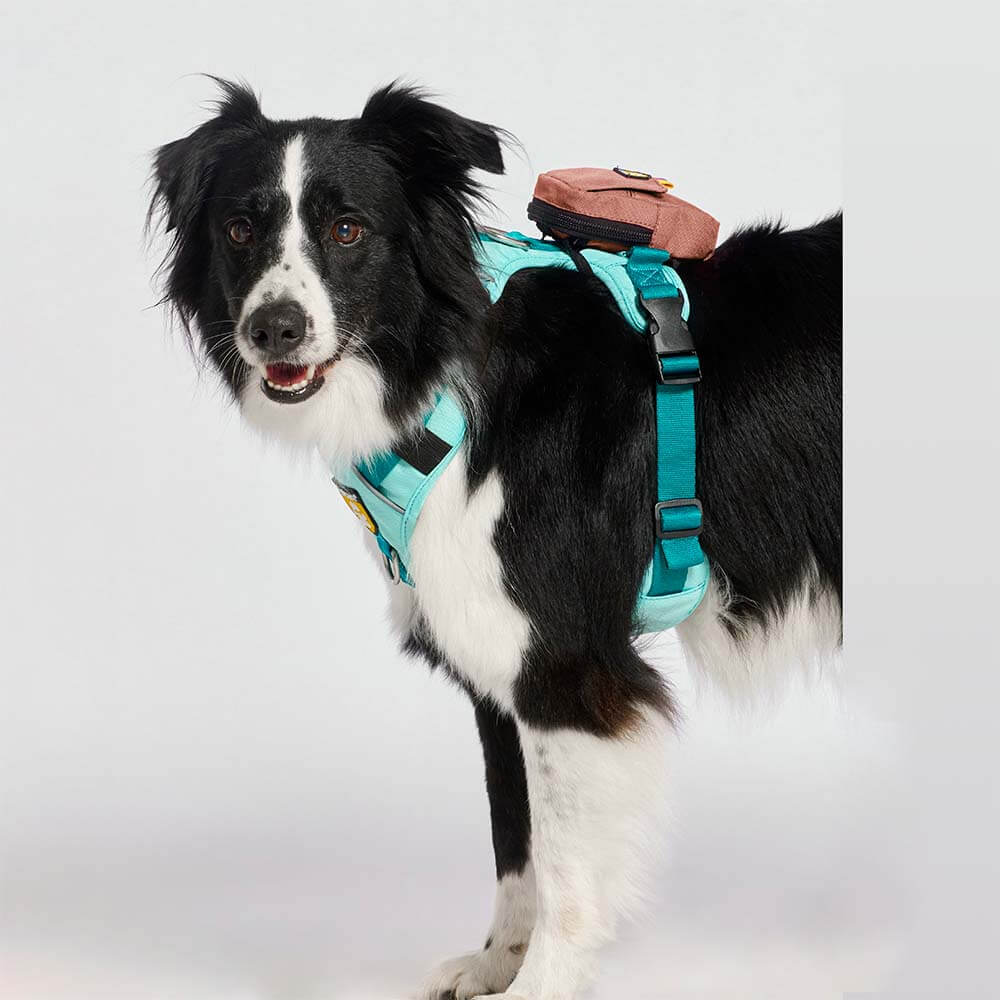 bolsa-dispensador-arena1