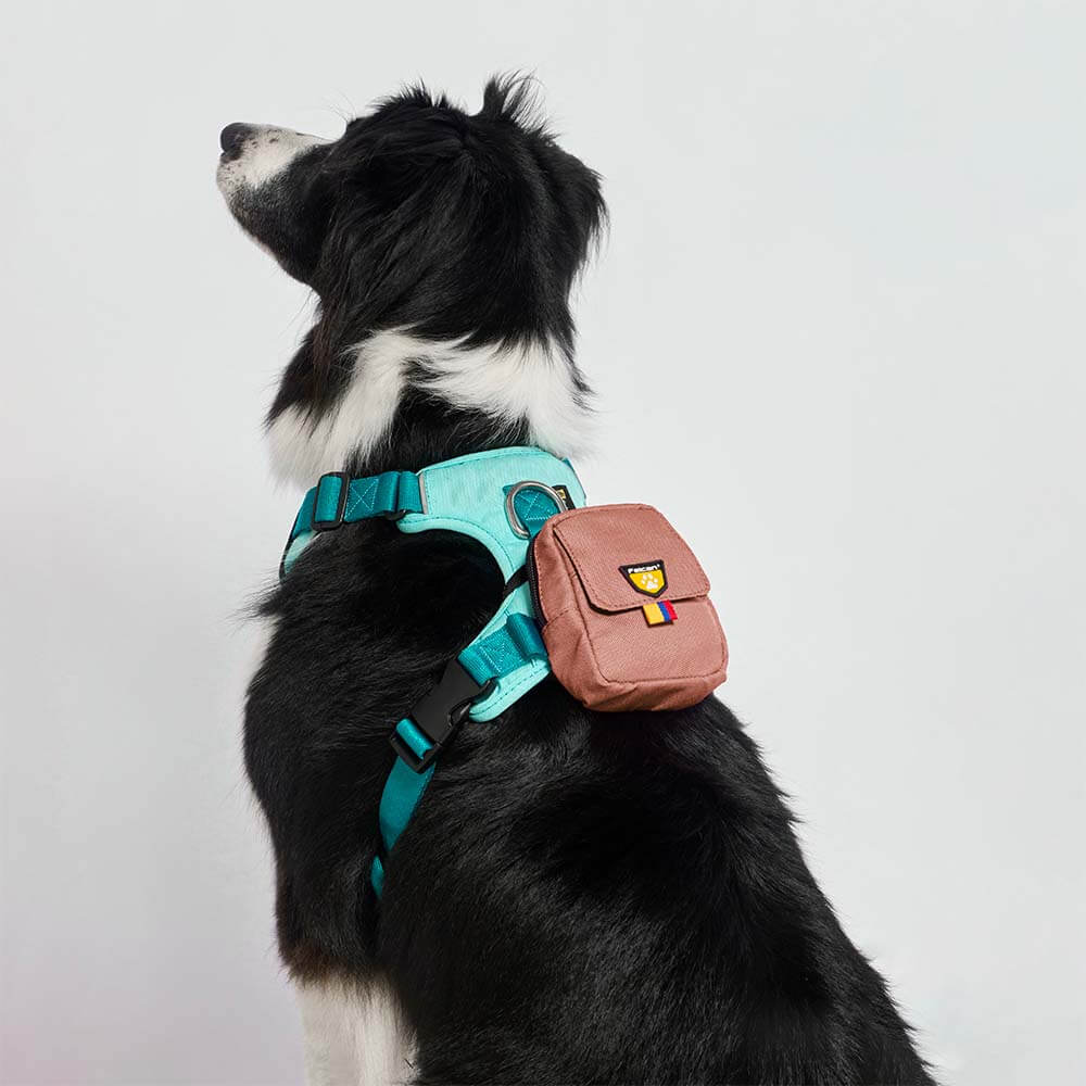 bolsa-dispensador-arena2