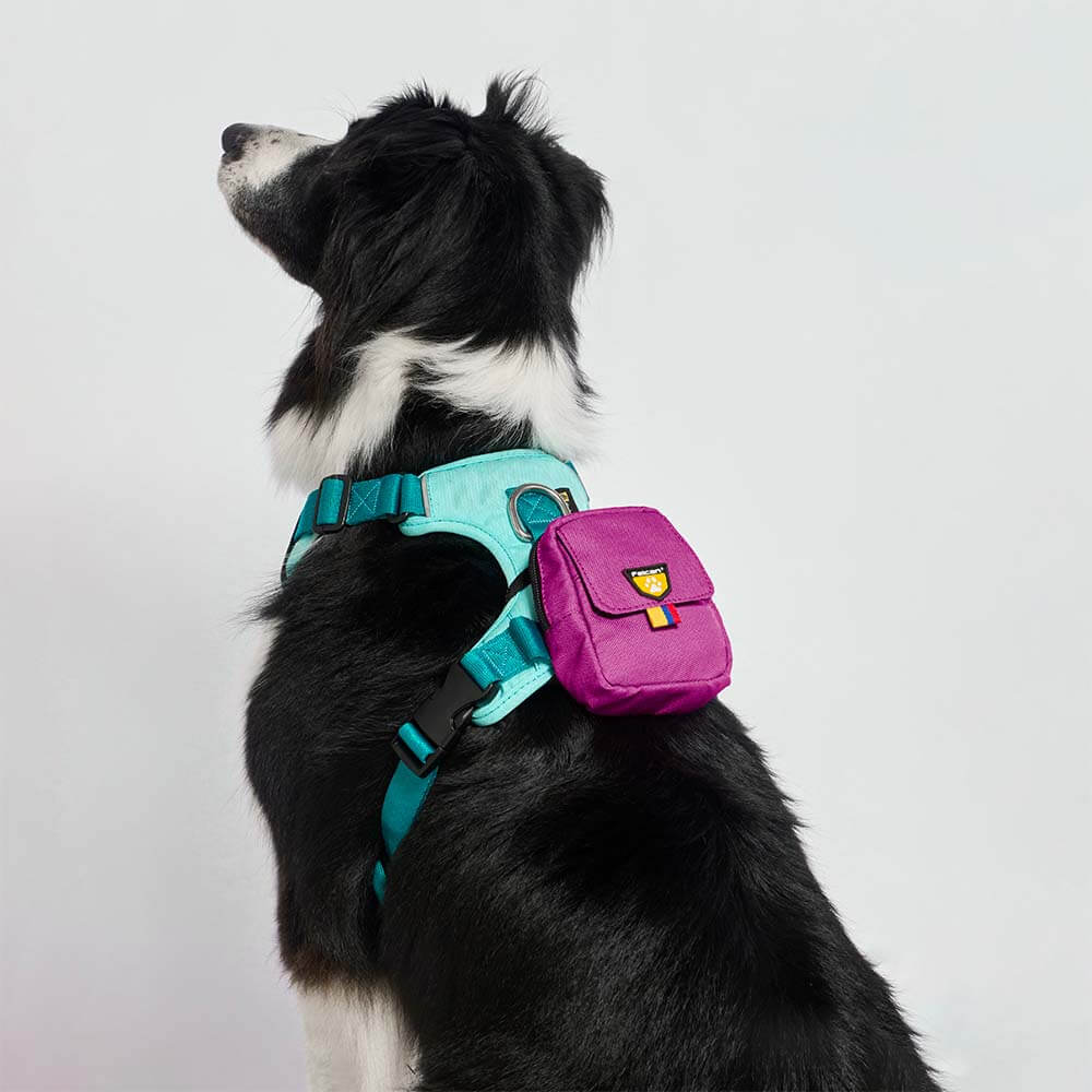 bolsa-dispensador-barney2