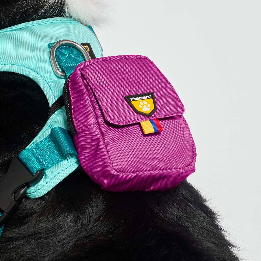 bolsa-dispensador-barney3