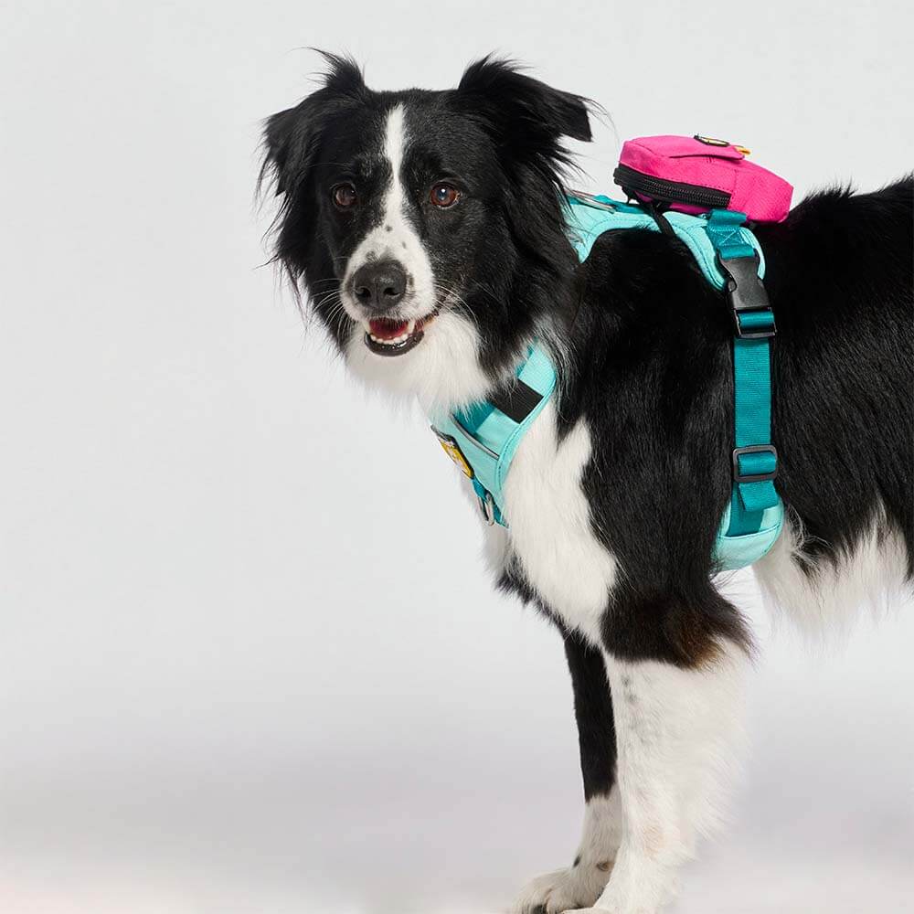 bolsa-dispensador-fucsia