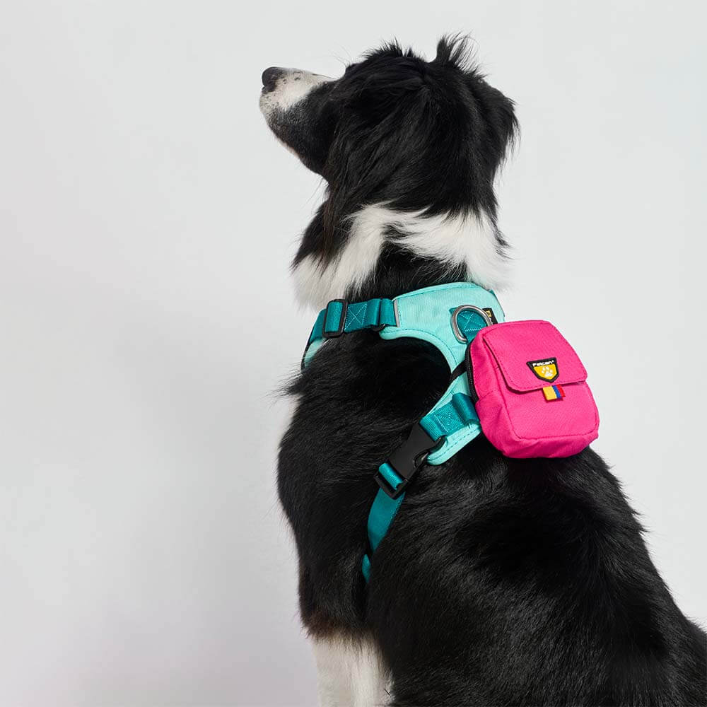 bolsa-dispensador-fucsia2