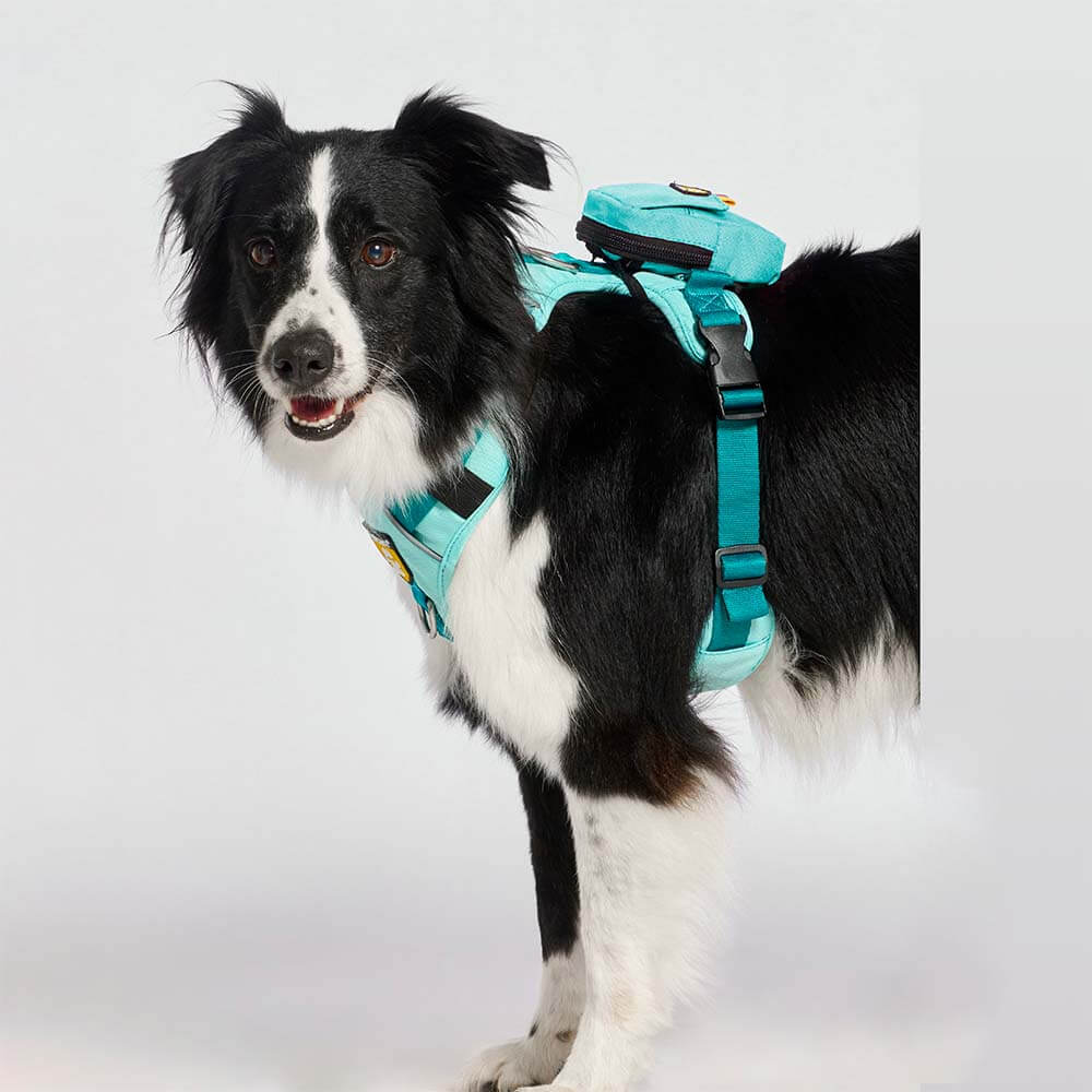 bolsa-dispensador-menta1