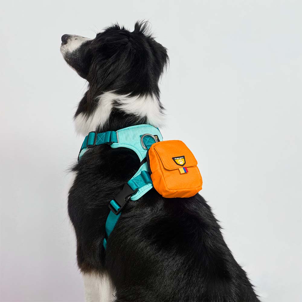 bolsa-dispensador-naranja4