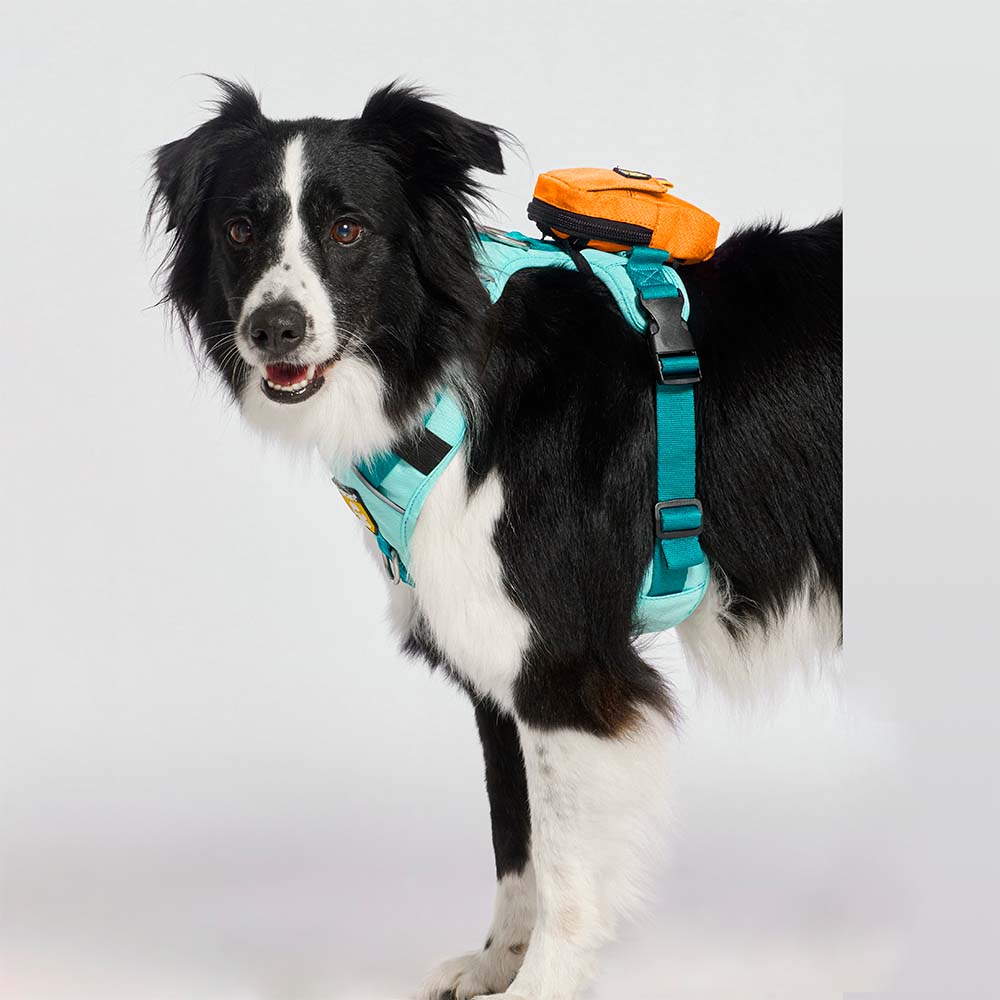 bolsa-dispensador-naranja6