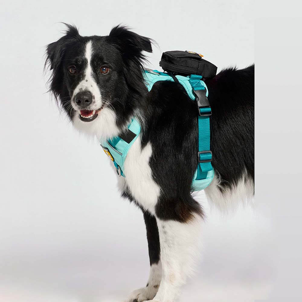 bolsa-dispensador-negro