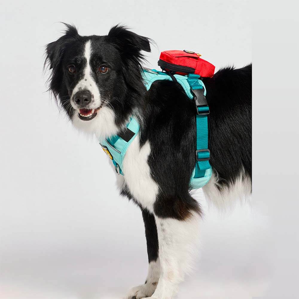 bolsa-dispensador-rojo-escarlata