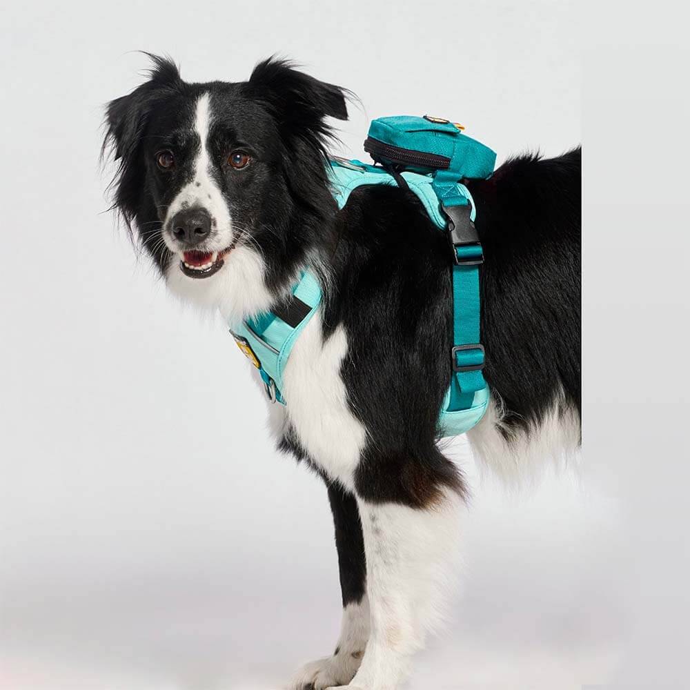 bolsa-dispensador-verde-jade1