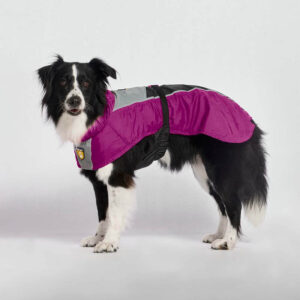 capa-de-lluvia-barney