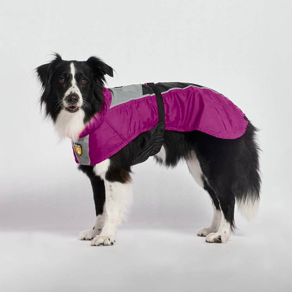 capa-de-lluvia-barney