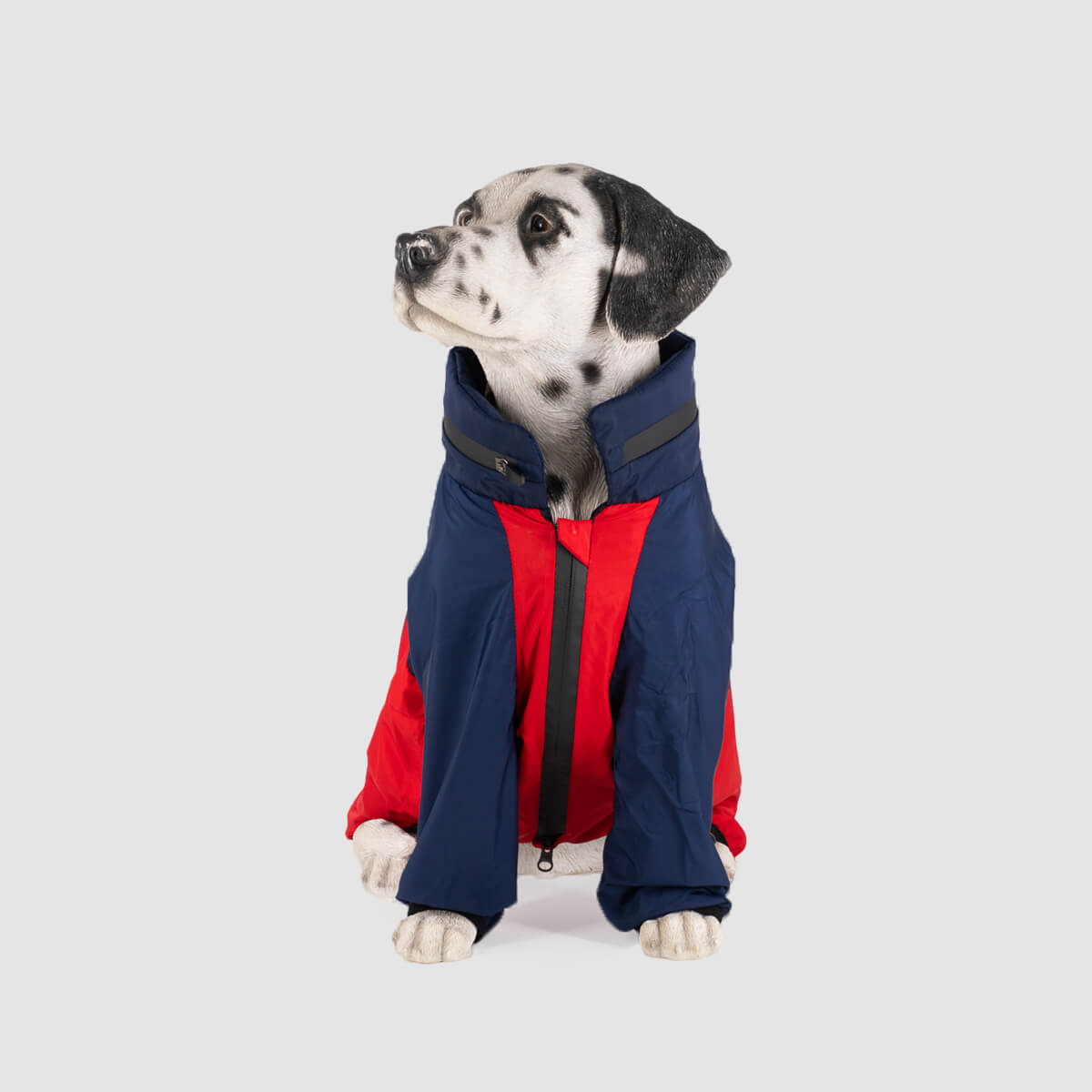 chaqueta-para-perro-azul+rojo-01