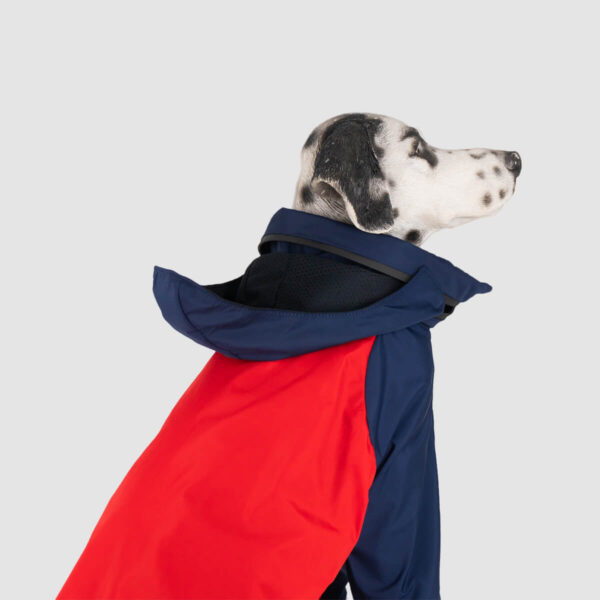 chaqueta-para-perro-azul+rojo-04