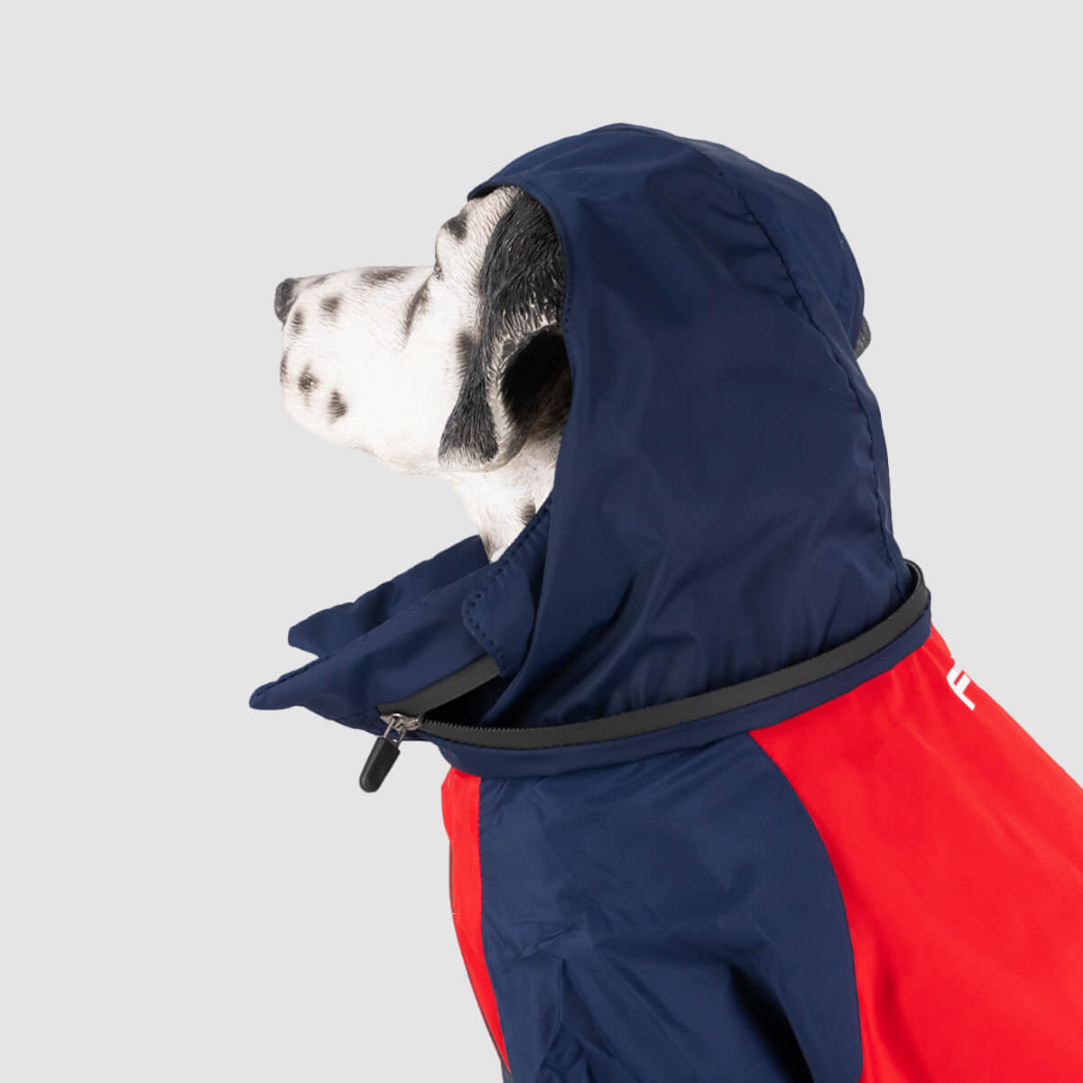 chaqueta-para-perro-azul+rojo-05