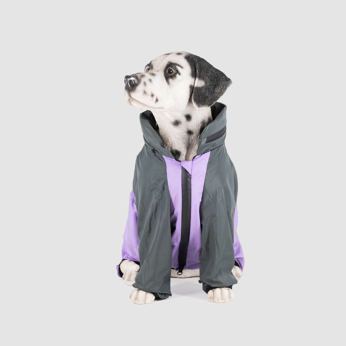 chaqueta-para-perro-gris+lila-01