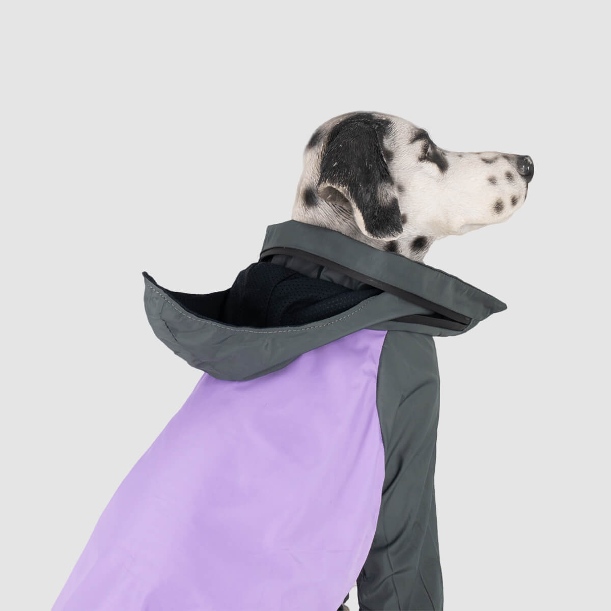 chaqueta-para-perro-gris+lila-05