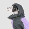 chaqueta-para-perro-gris+lila-06