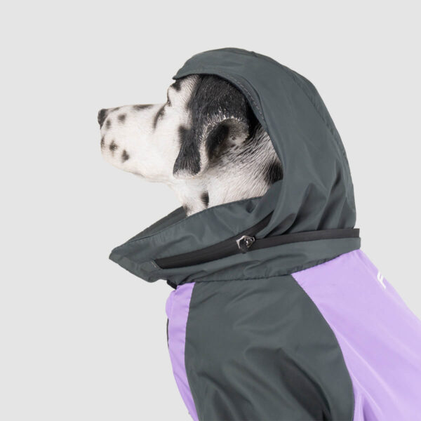 chaqueta-para-perro-gris+lila-06