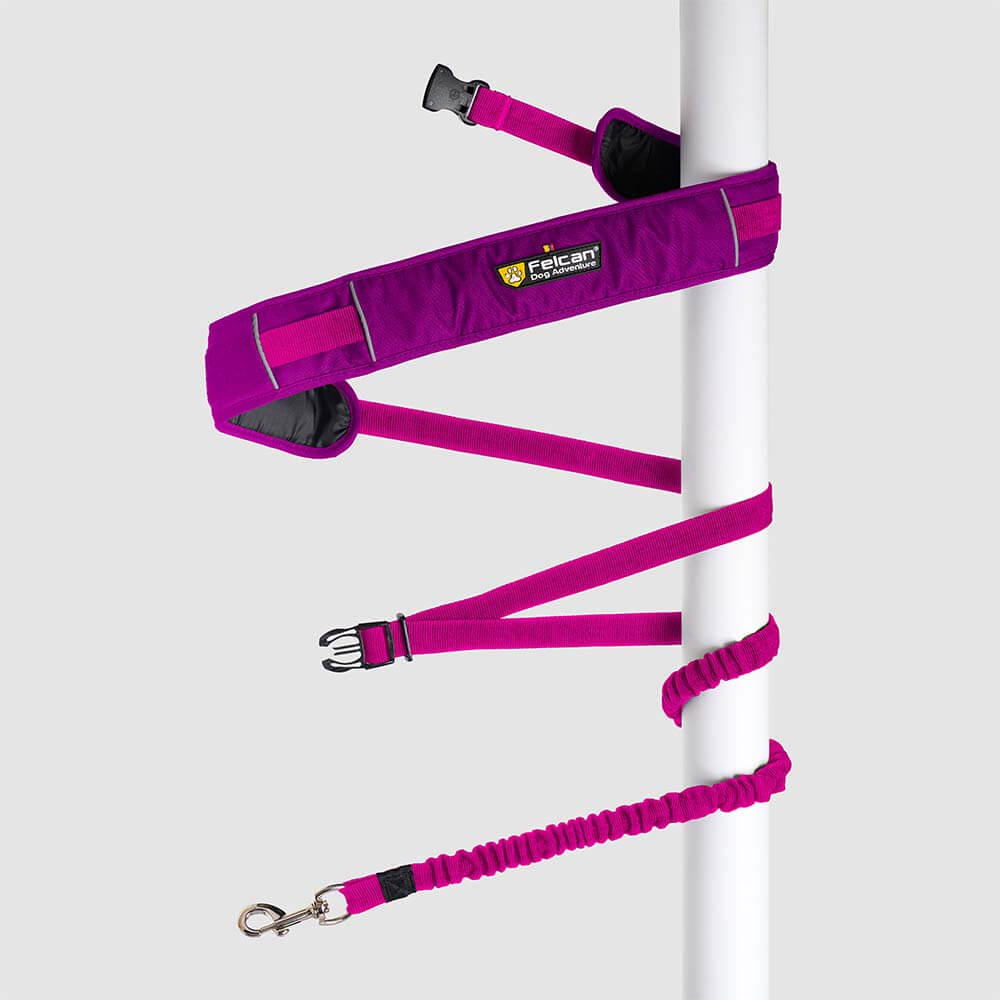 correa-manos-libres-barney-fucsia