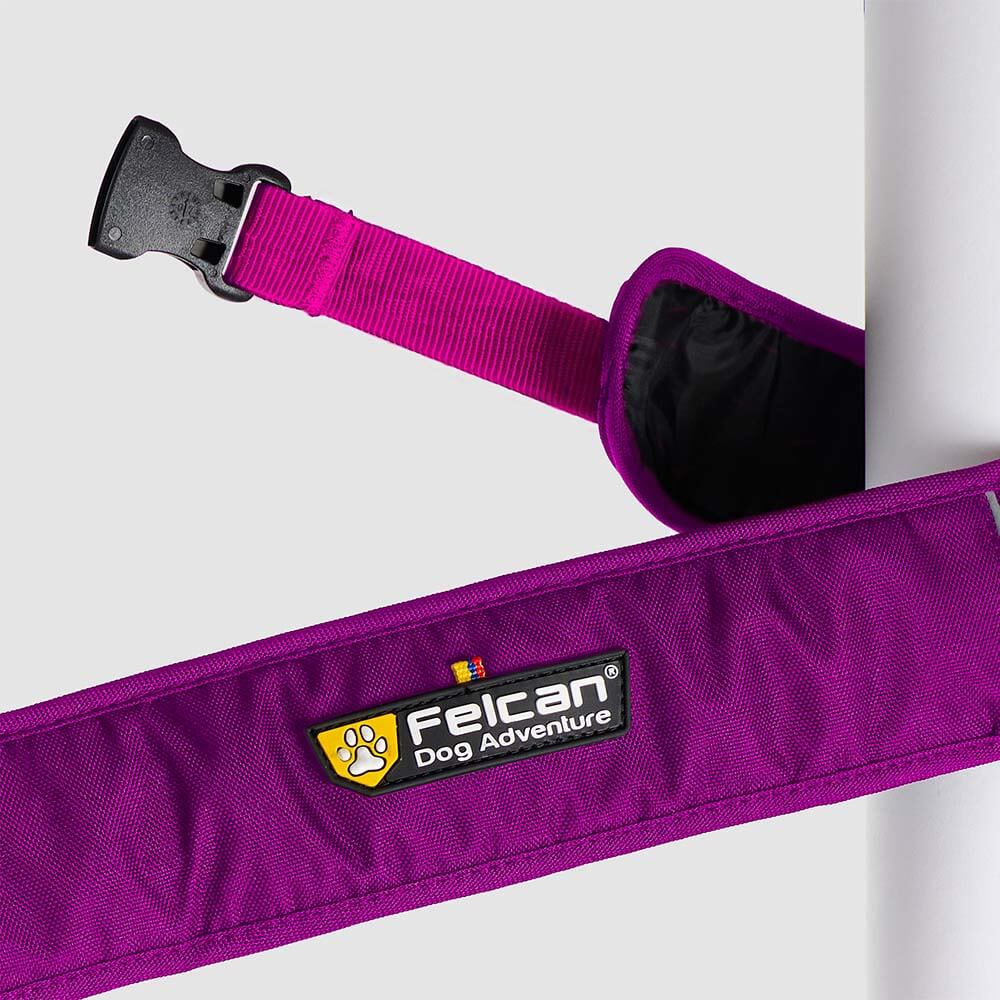 correa-manos-libres-barney-fucsia2