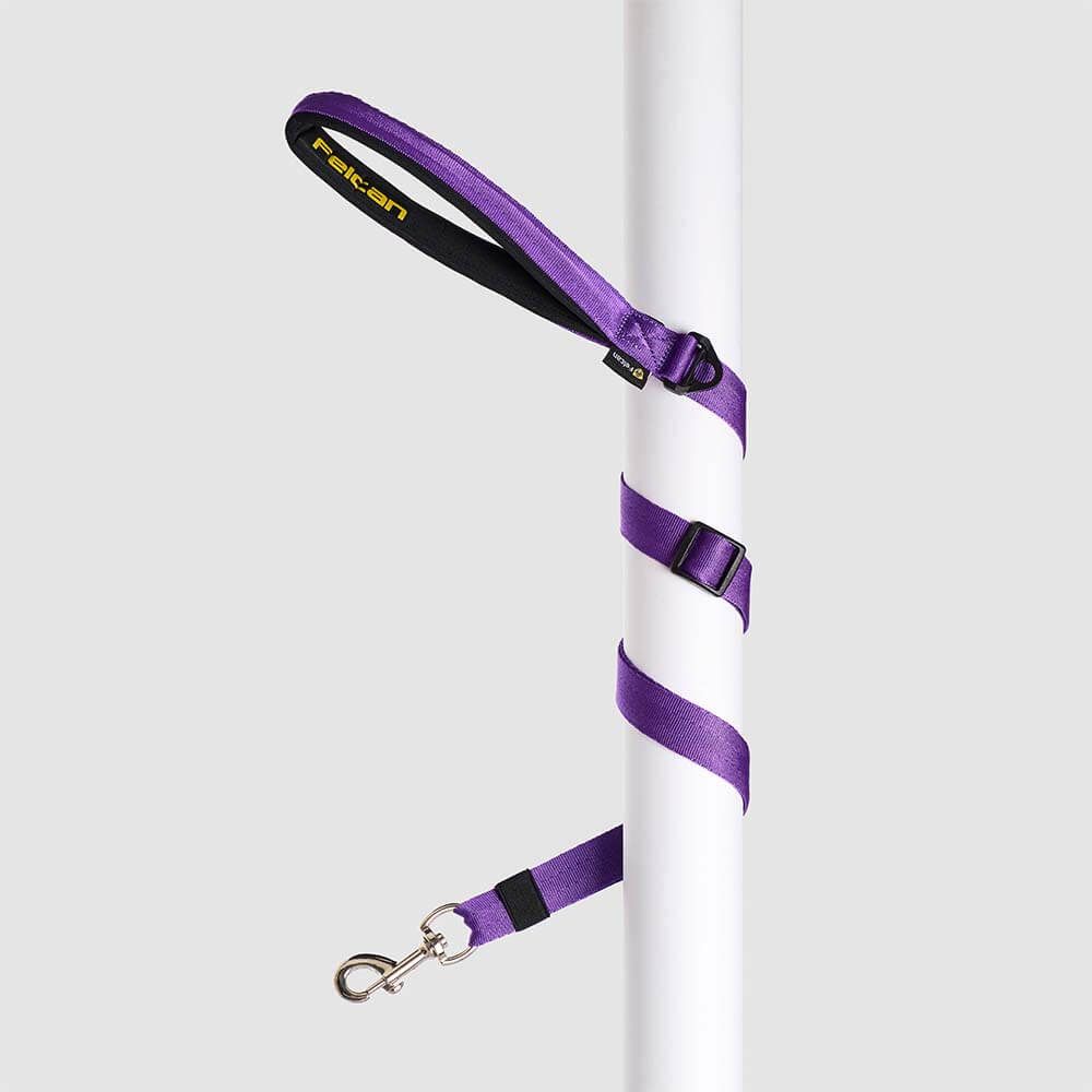 correa-urban-dog-morado