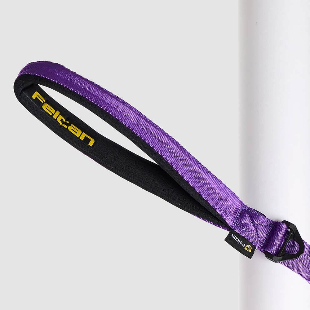 correa-urban-dog-morado1