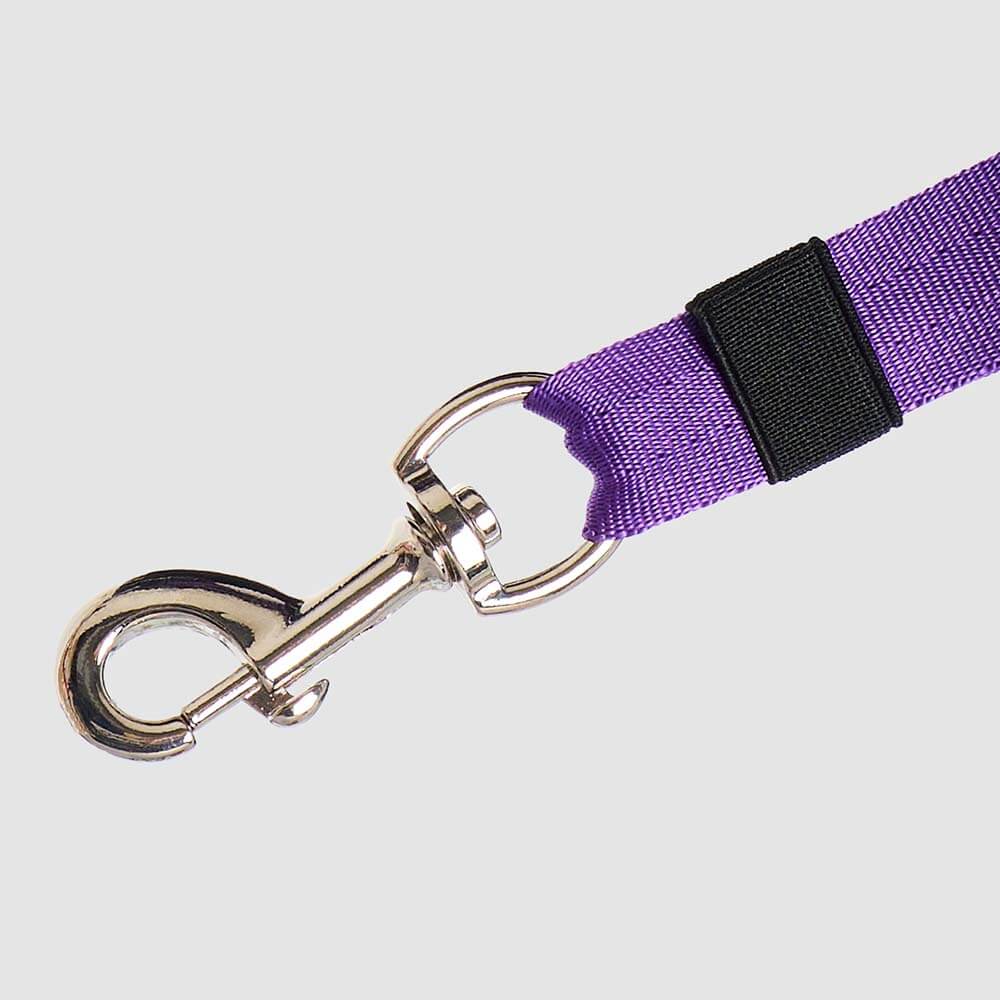 correa-urban-dog-morado2