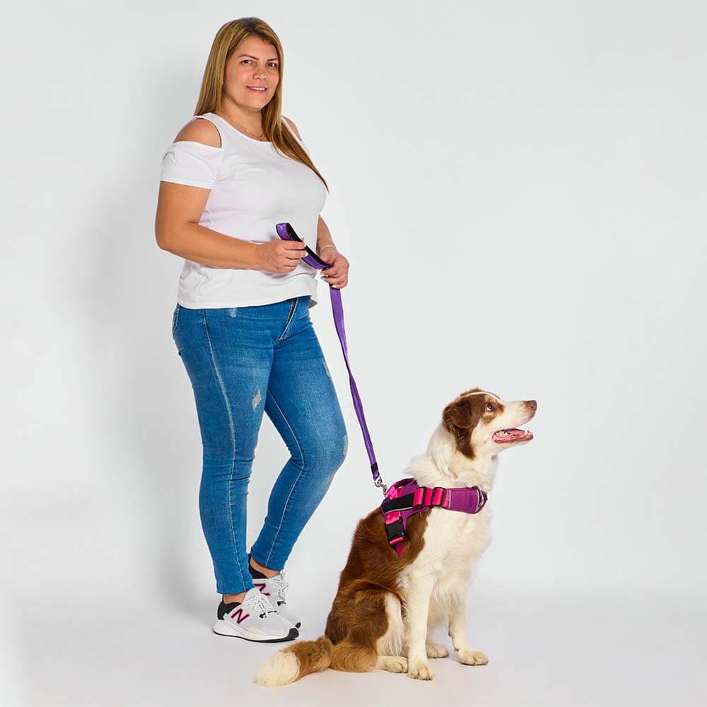 correa-urban-dog-morado3