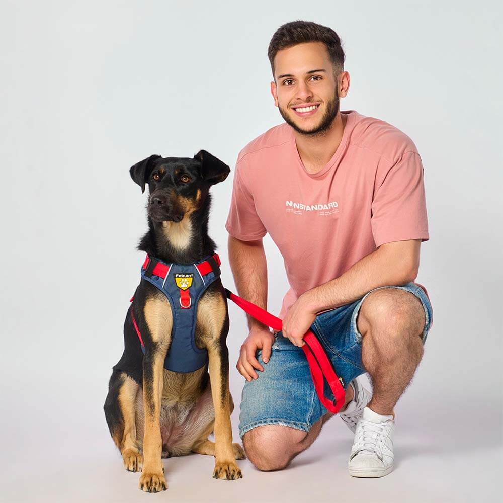 d-4t-azul-cobalto-rojo