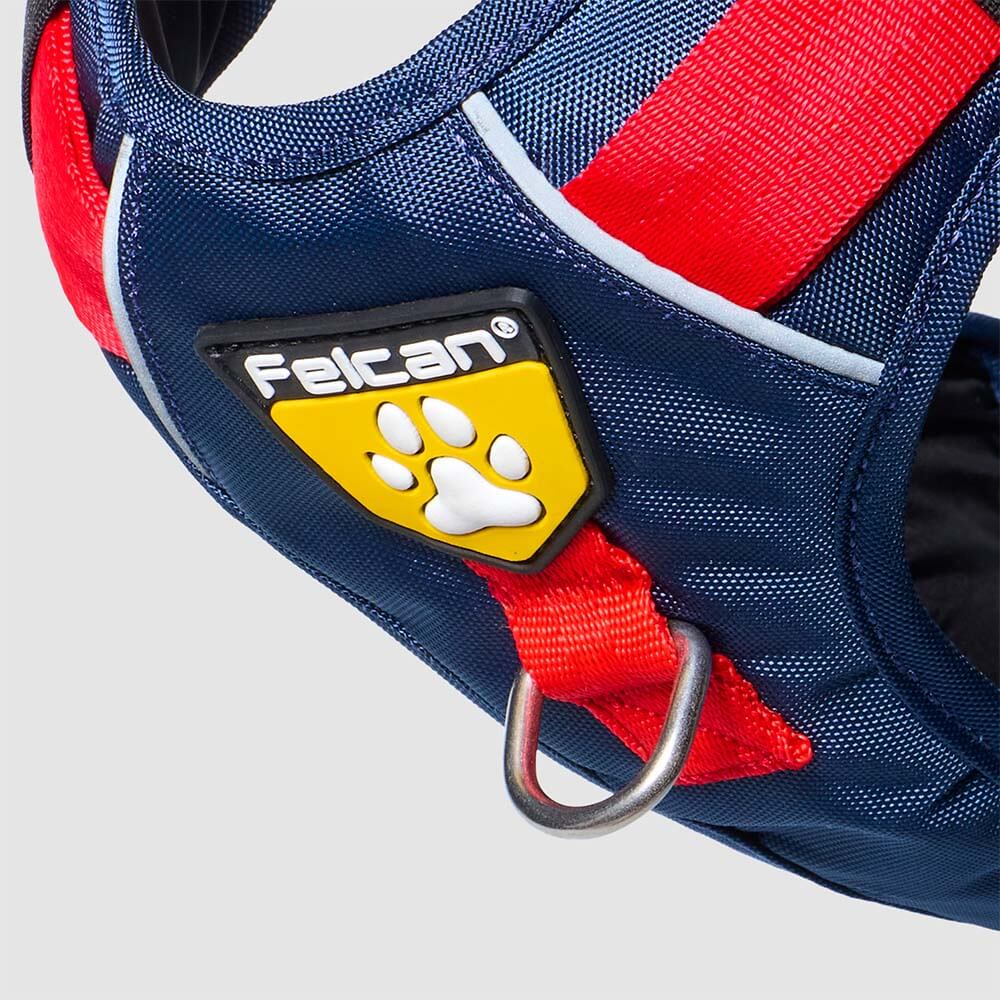 d-4t-azul-cobalto-rojo2