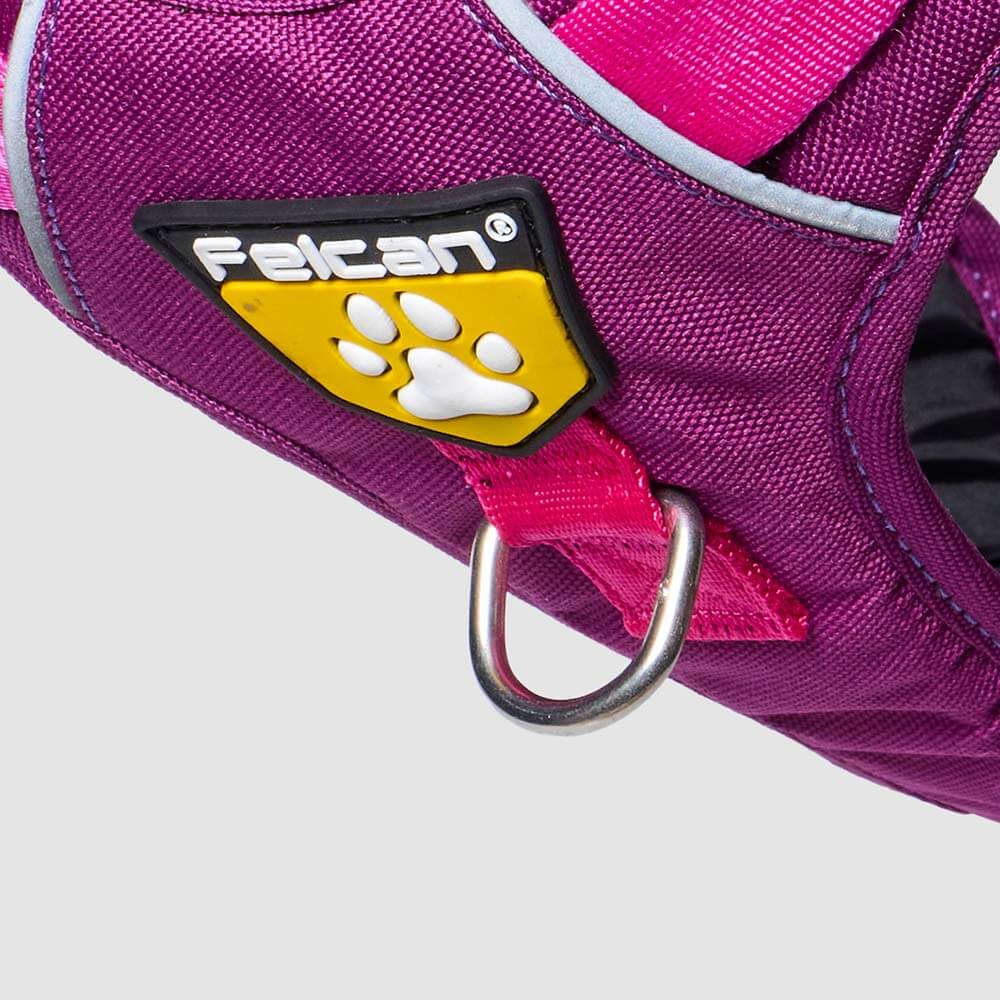 d-walker-barney-fucsia