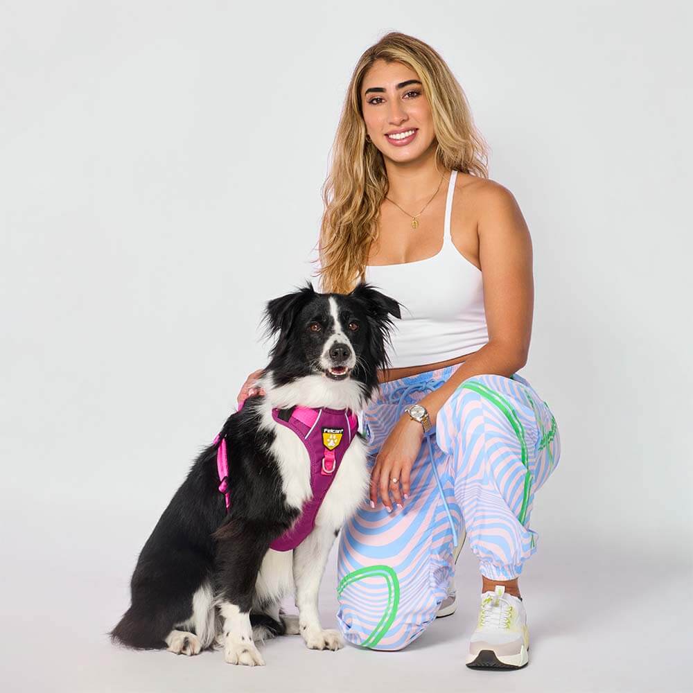 d-walker-barney-fucsia1