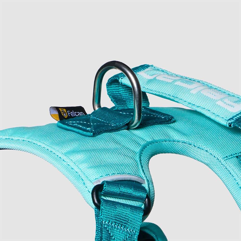 d-walker-menta-verde-jade