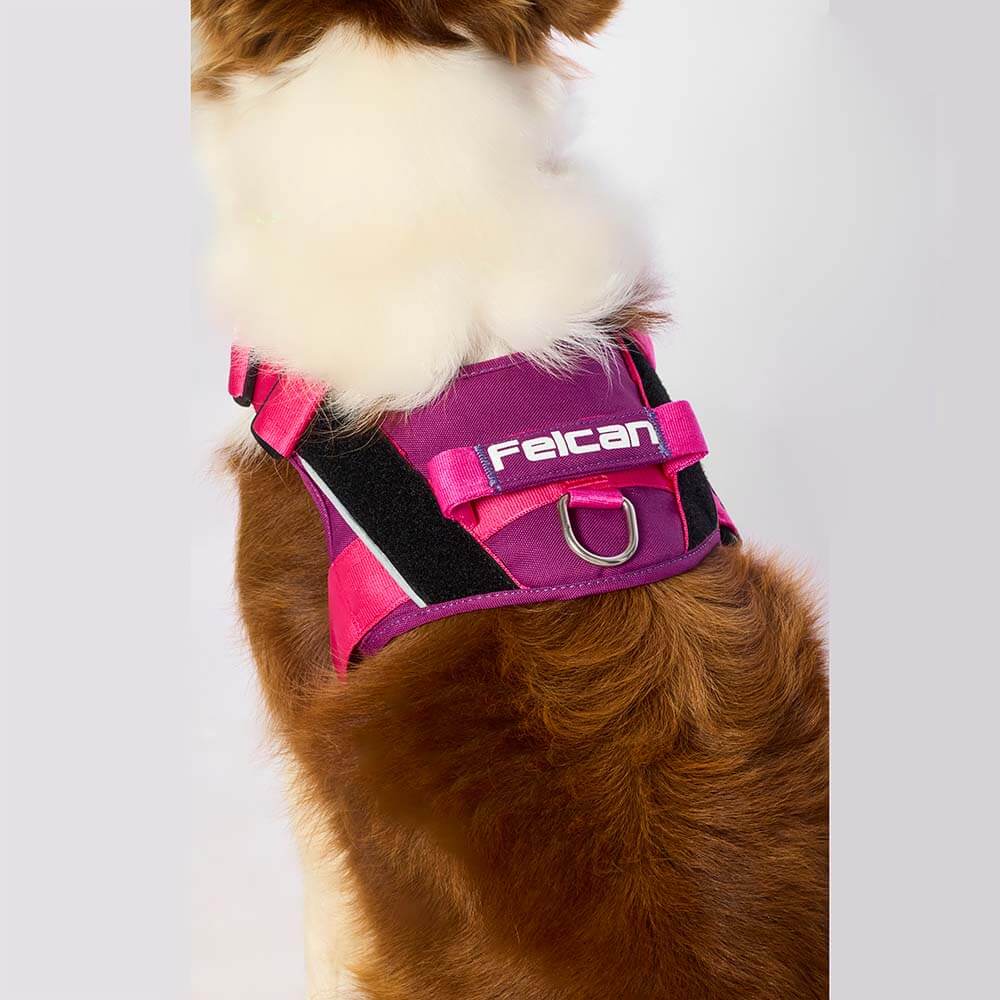 d-work-barney-fucsia1