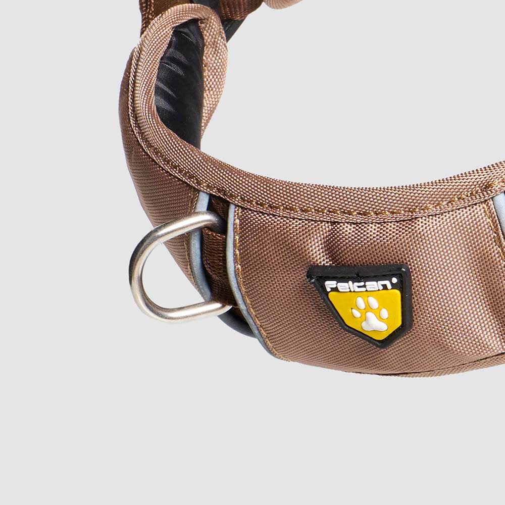 d-work-enchape-arena