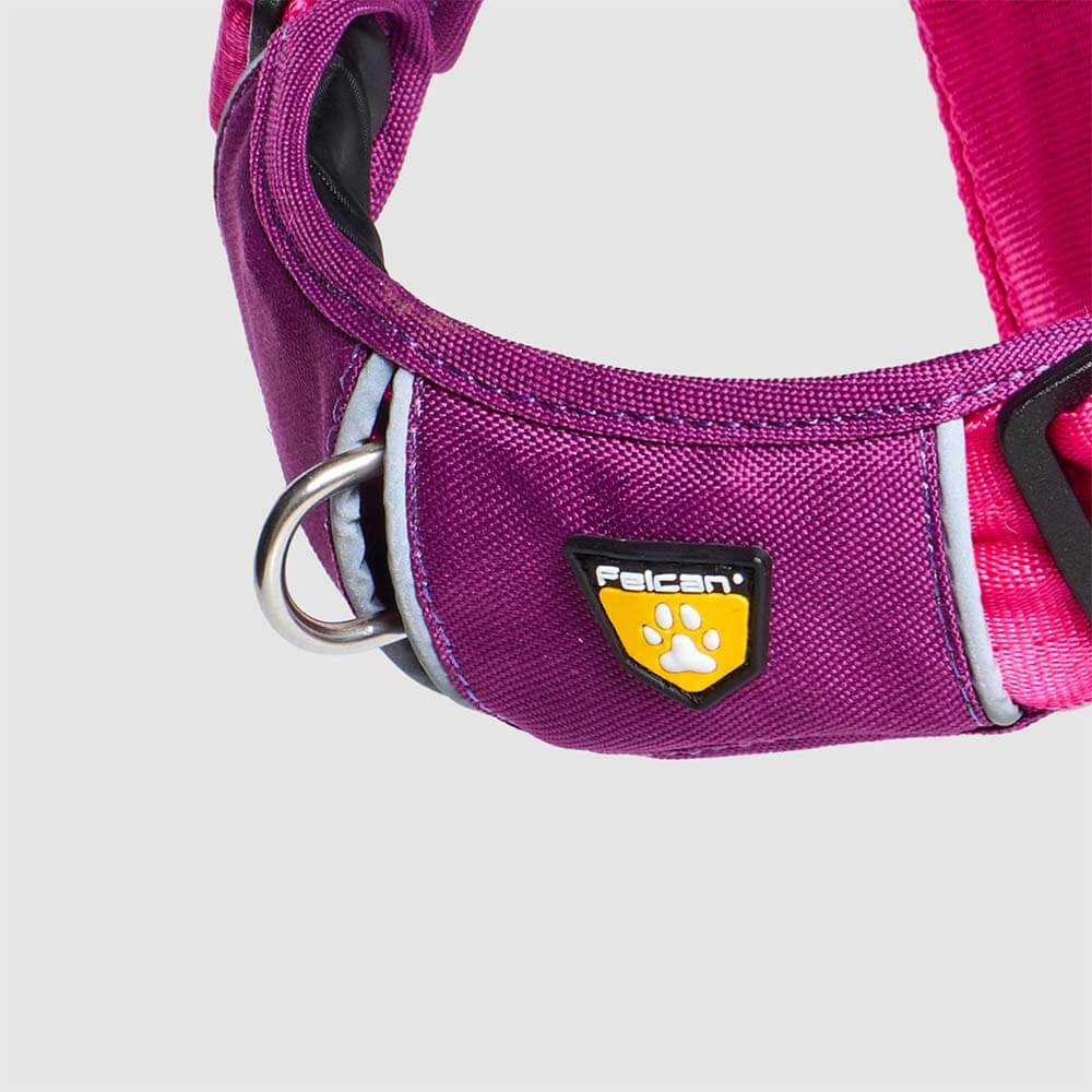 d-work-enchape-barney-fucsia