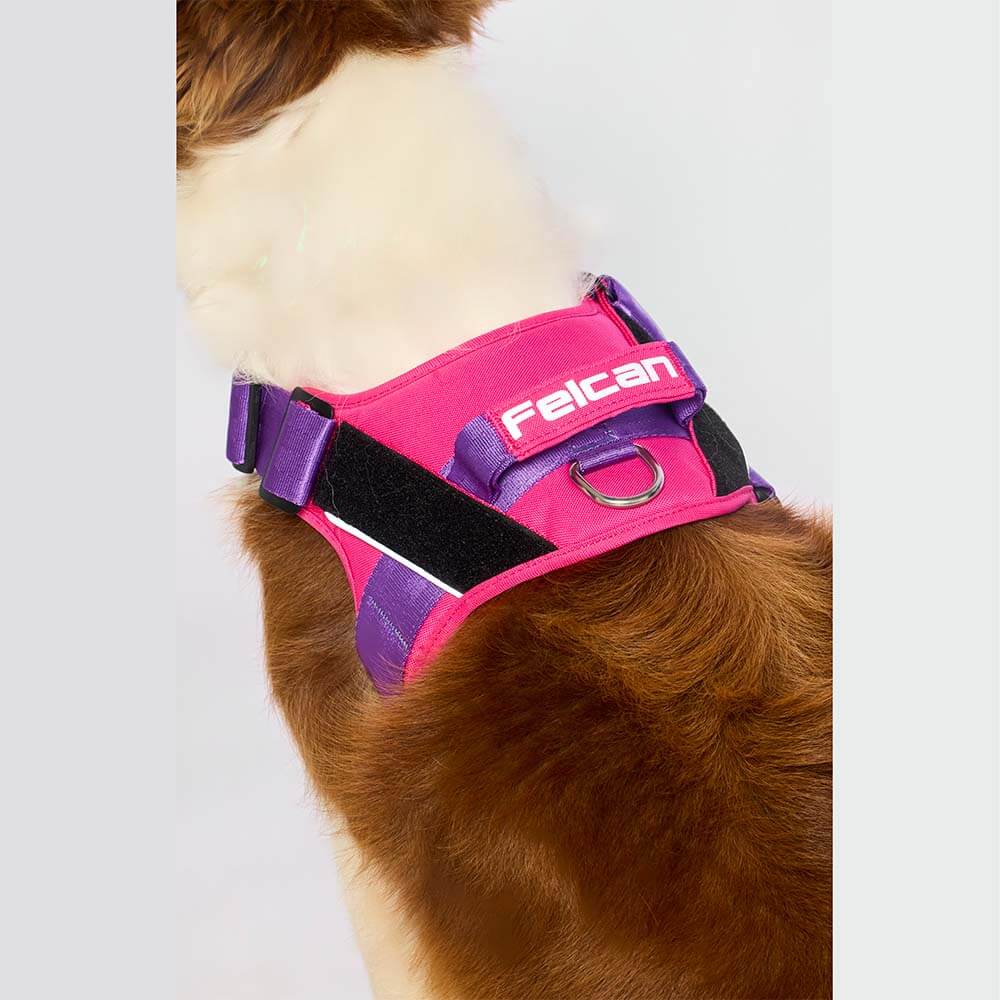 d-work-fucsia-morado