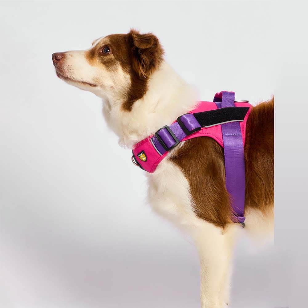 d-work-fucsia-morado2