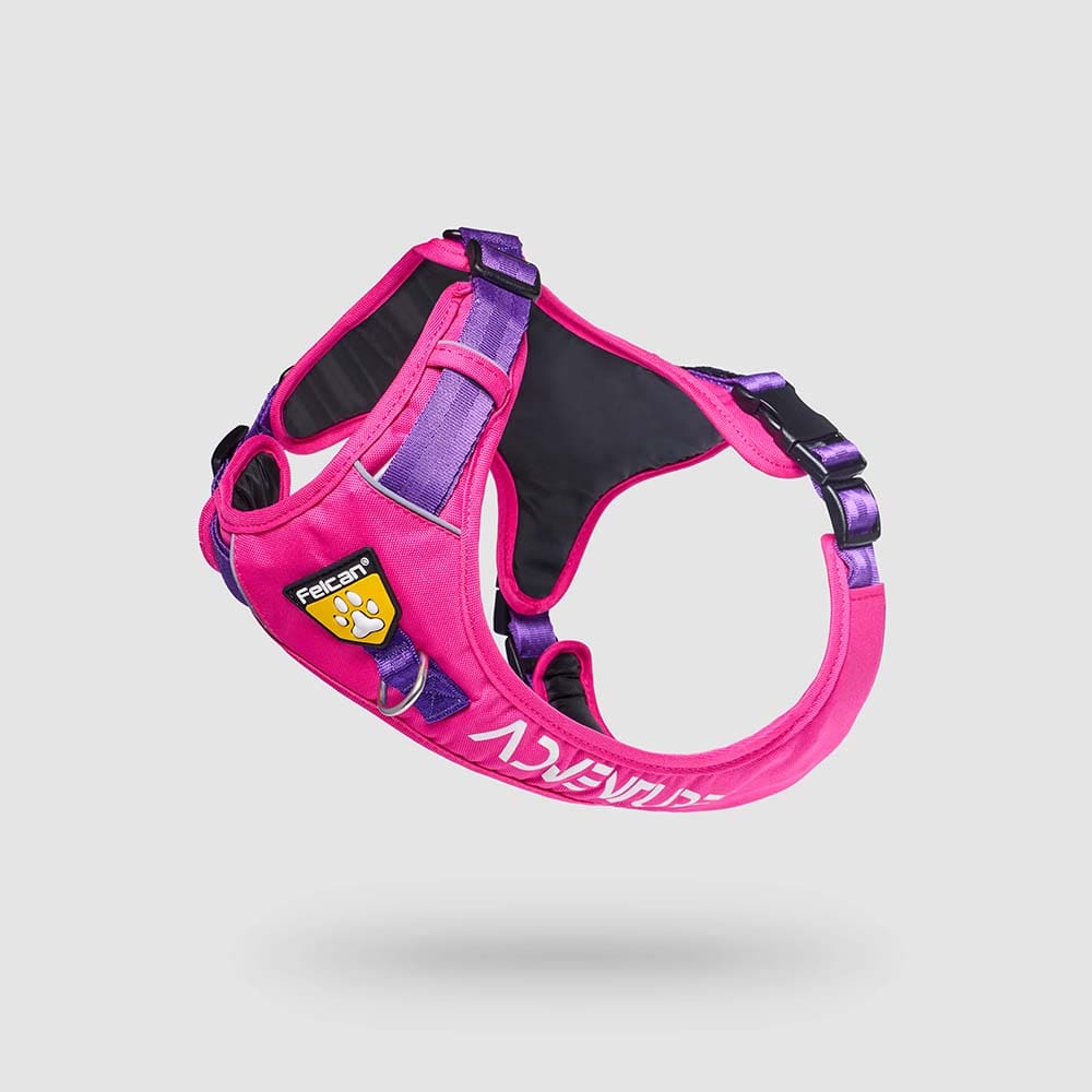 pecheras-para-perros