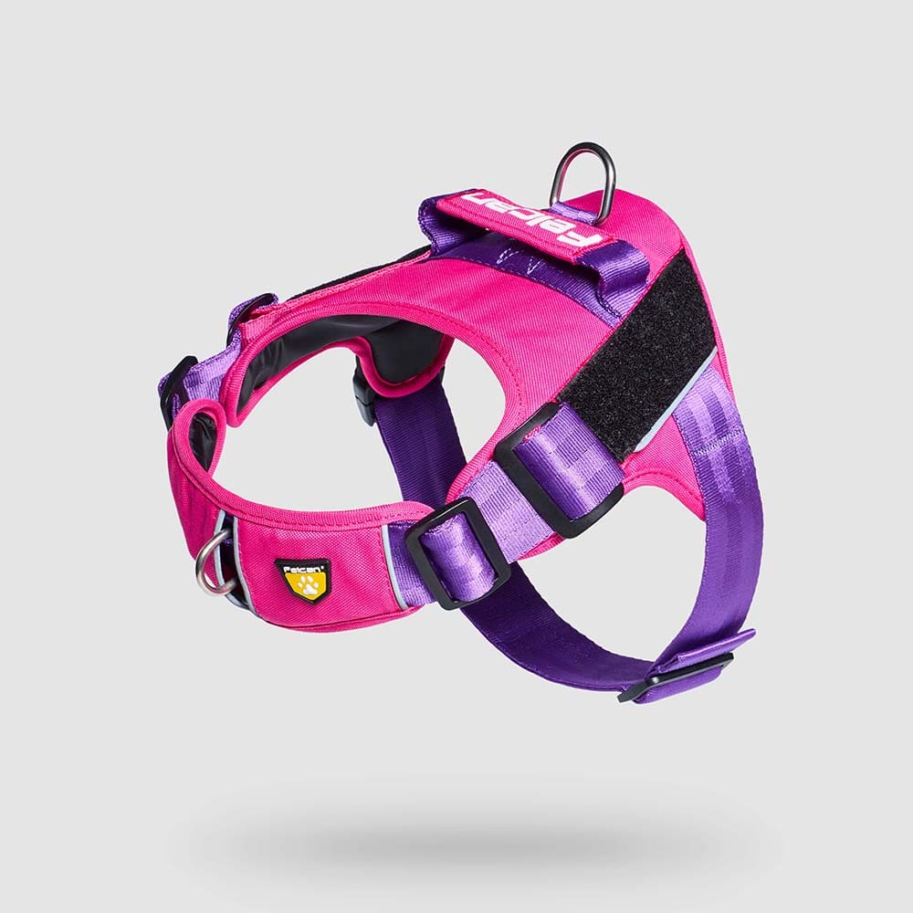 pecheras-para-perros