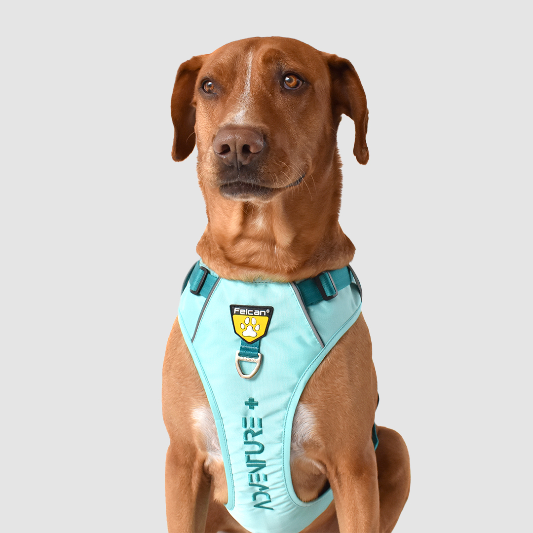 arnés-super-aventurero-menta+verde-jade