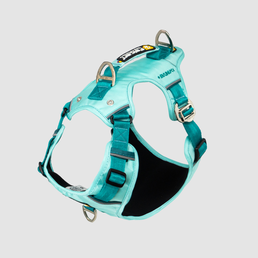 arnés-super-aventurero-menta+verde-jade